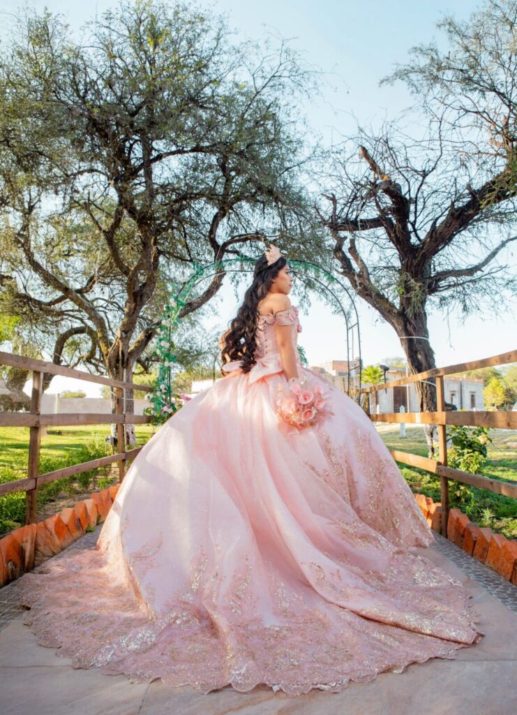 Tema de quinceanera elegante